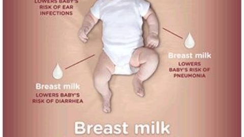 Breast Milk: The Best Start