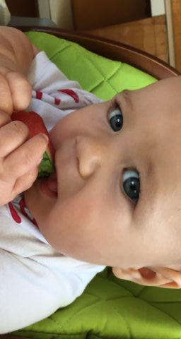 Baby Led Weaning…Where to Begin?