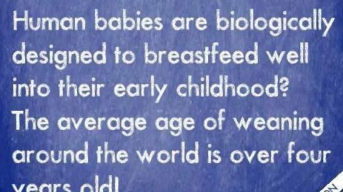 Three reasons to Breastfeed past the first year mark